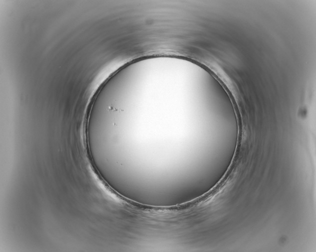 X0000093591293200711051130