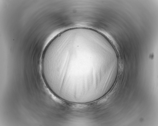 X0000093591294200711051130