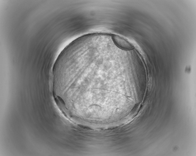 X0000093591295200711051130