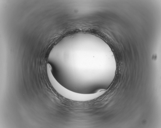X0000093591298200711051130