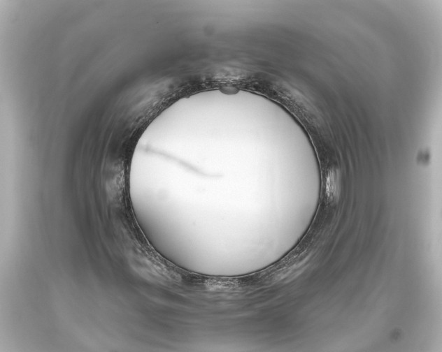 X0000093591299200711051130