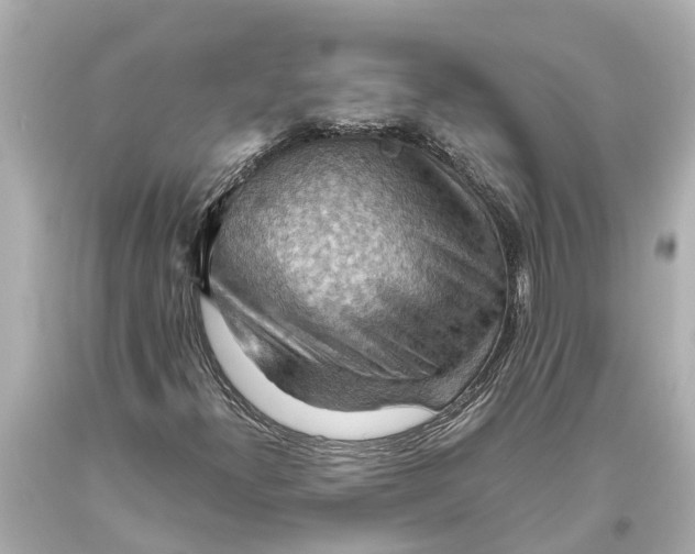 X0000093591300200711051130