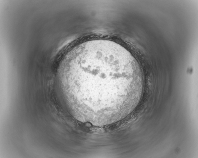 X0000093591302200711051130