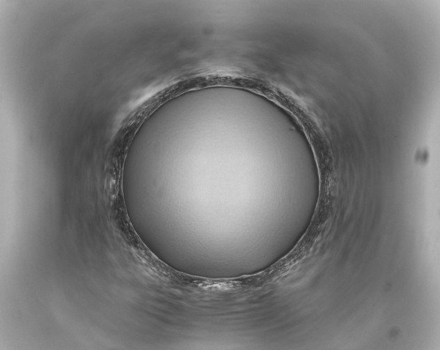 X0000093591303200711051130