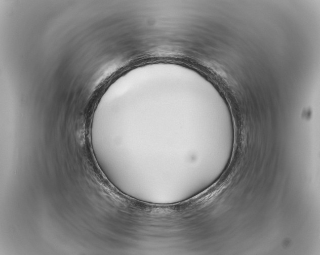 X0000093591306200711051130