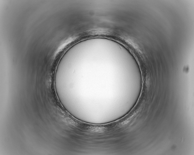 X0000093591309200711051130