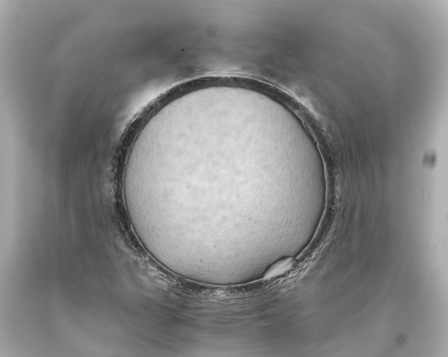 X0000093591311200711051130