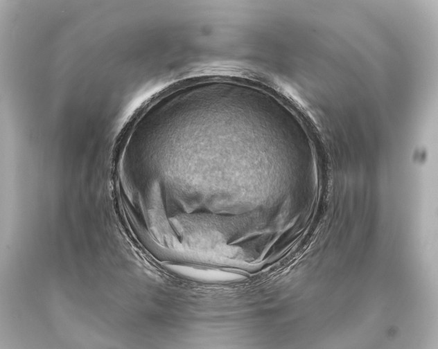 X0000093591312200711051130