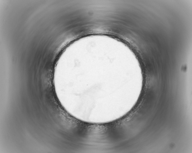 X0000093591314200711051130