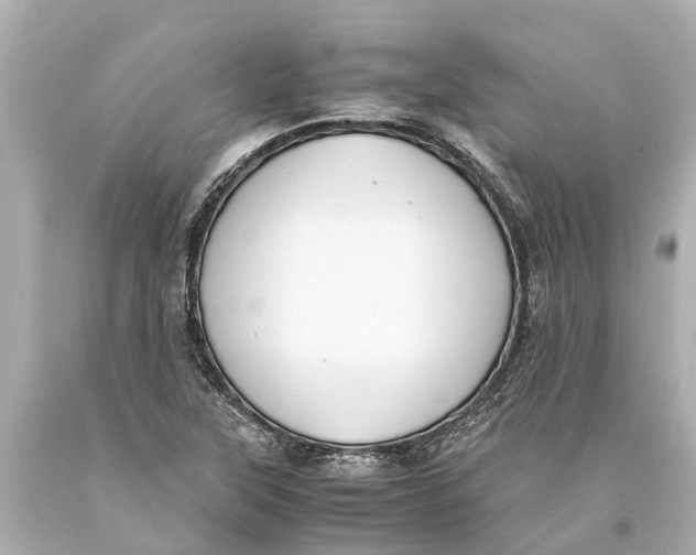 X0000093591315200711051130