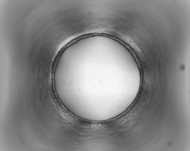 X0000093591316200711051130