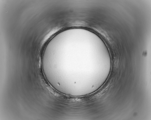 X0000093591317200711051130