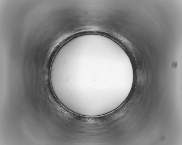 X0000093591318200711051130