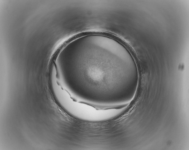 X0000093591319200711051130