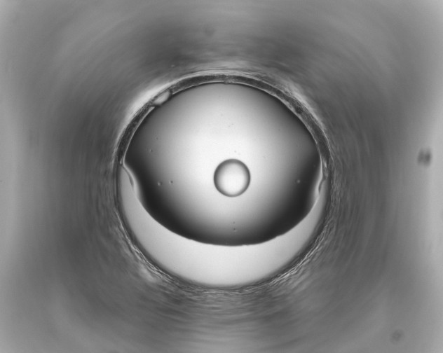 X0000093591320200711051130