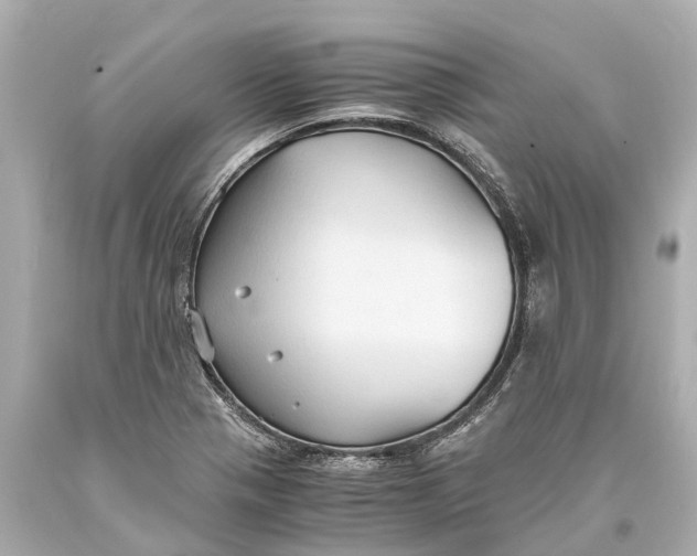 X0000093591321200711051130