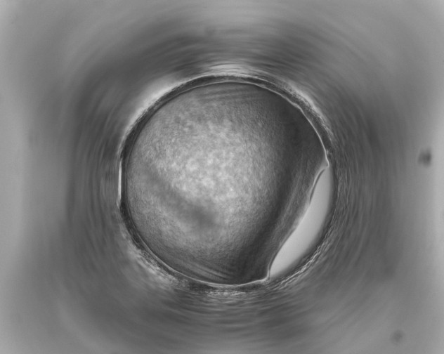 X0000093591323200711051130