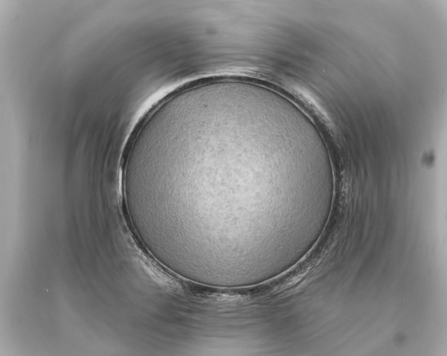 X0000093591324200711051130