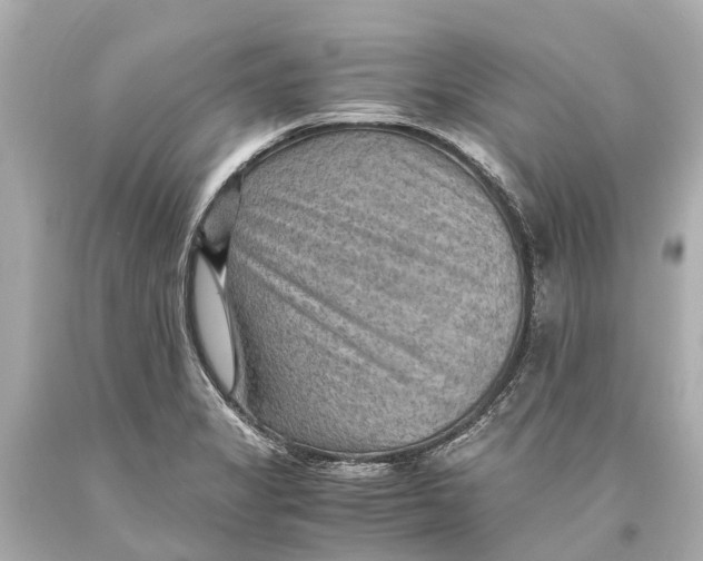 X0000093591325200711051130