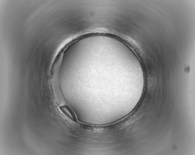 X0000093591326200711051130