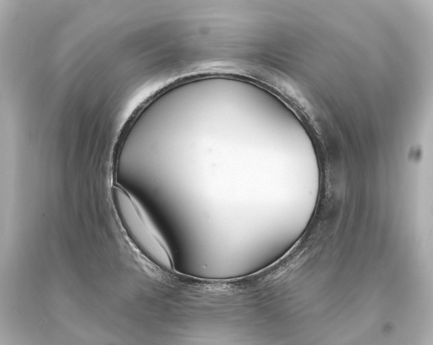 X0000093591328200711051130