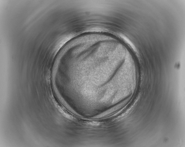 X0000093591329200711051130