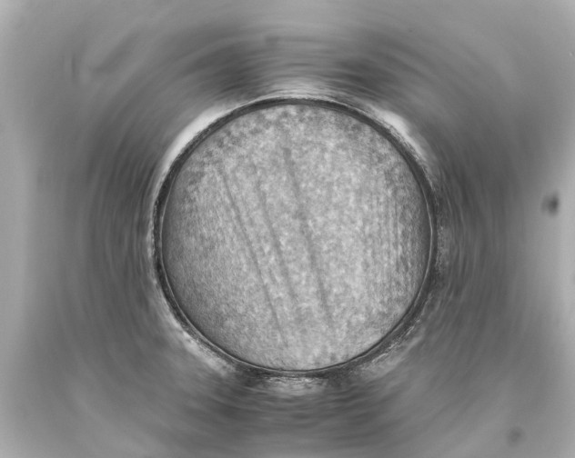 X0000093591331200711051130