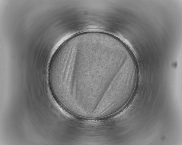 X0000093591333200711051130