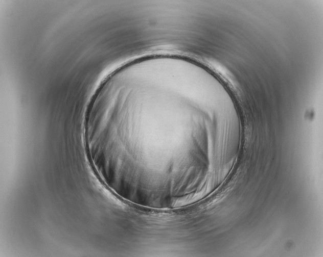 X0000093591334200711051130