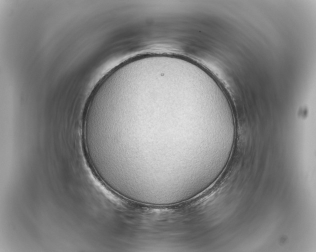 X0000093591335200711051130