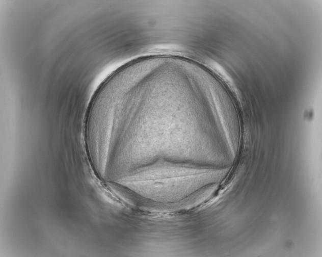 X0000093591336200711051130
