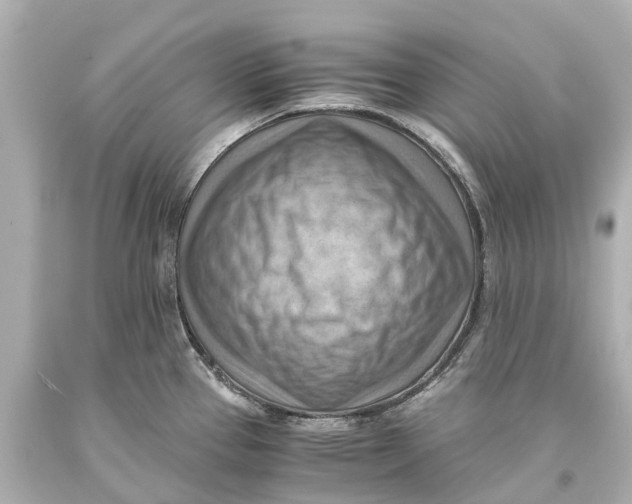 X0000093591337200711051130