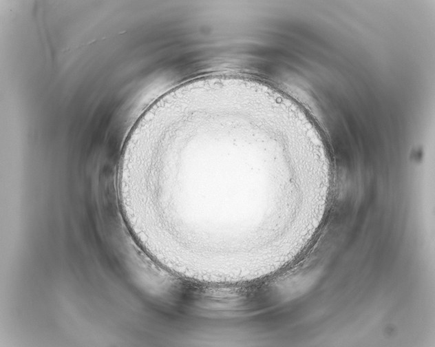 X0000093591338200711051130