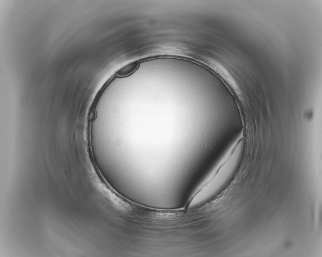 X0000093591339200711051130