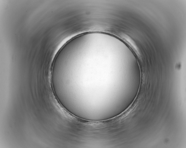 X0000093591340200711051130