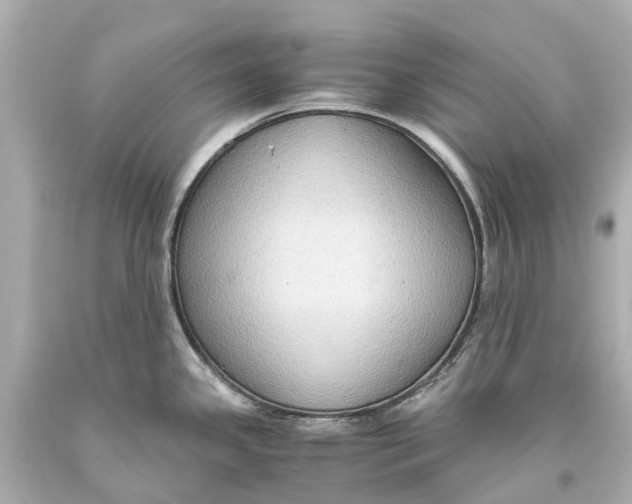 X0000093591341200711051130