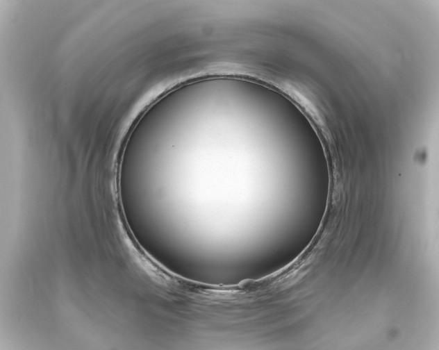 X0000093591342200711051130