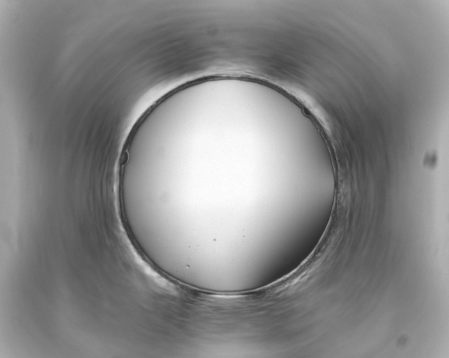 X0000093591343200711051130