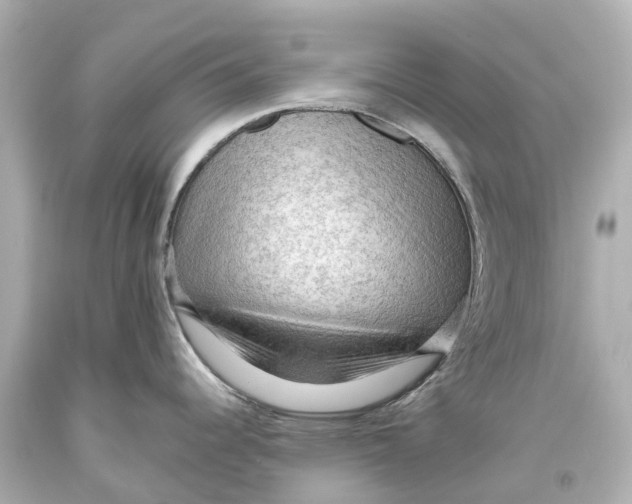 X0000093591344200711051130