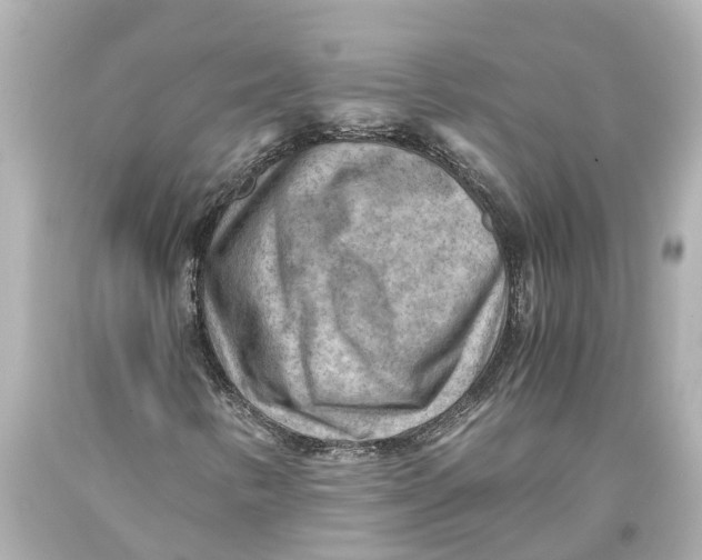 X0000093591346200711051130