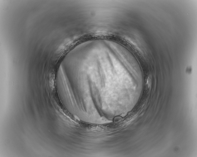 X0000093591348200711051130