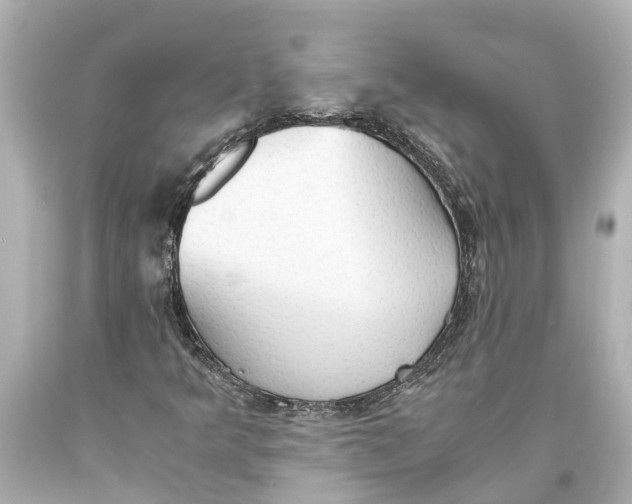 X0000093591349200711051130