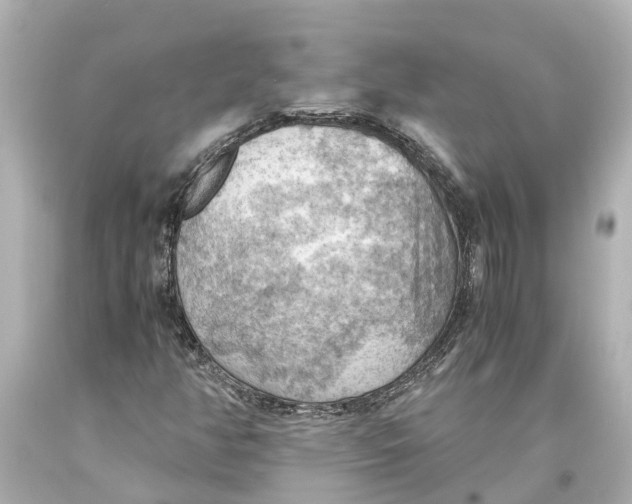X0000093591350200711051130