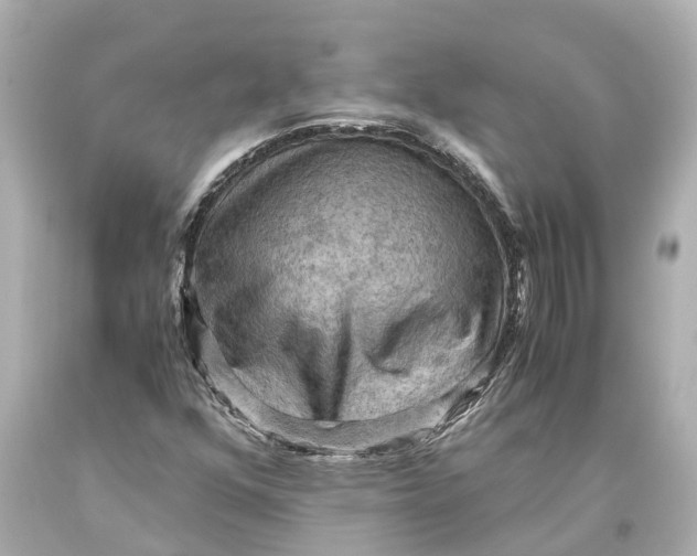 X0000093591352200711051130