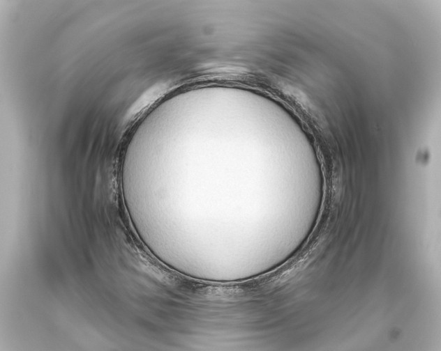 X0000093591354200711051130