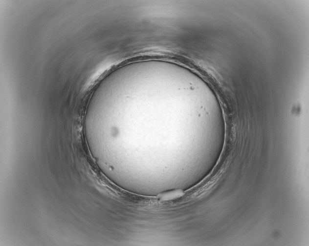 X0000093591355200711051130