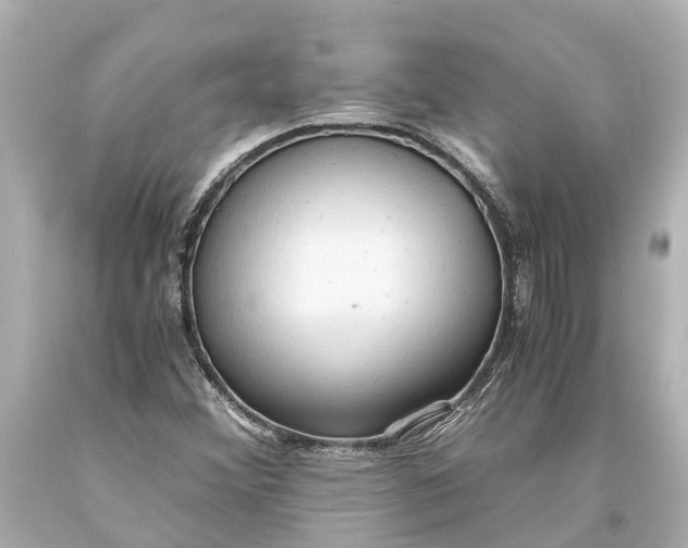 X0000093591356200711051130