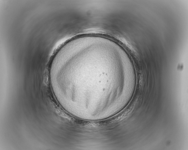 X0000093591358200711051130