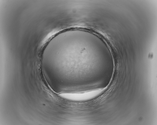 X0000093591359200711051129