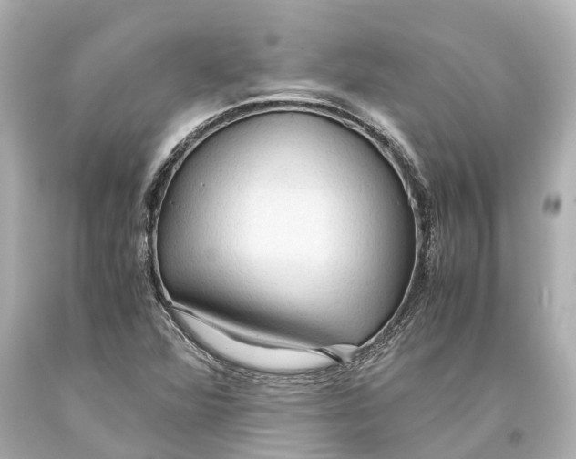 X0000093591360200711051129